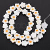 Natural Freshwater Shell Beads Strands with Enamel SHEL-T018-29B-3