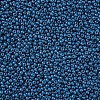 11/0 Grade A Baking Paint Glass Seed Beads X-SEED-N001-A-1013-2