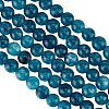 Olycraft 3 Strands Natural Apatite Beads Strands G-OC0003-01-1