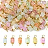 100Pcs Glass Connector Charms PALLOY-FZ00018-2