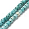 Dyed Natural Howlite Beads Strands G-H078-C28-01-1
