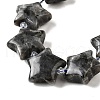 Natural Larvikite Beads Strands G-U023-C01-09-4