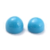 Synthetic Turquoise Cabochons G-C070-02A-2