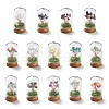 Natural Mixed Gemstone Chips Money Tree in Dome Glass Bell Jars with Wood Base Display Decorations DJEW-K030-02-1