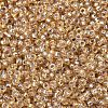 MIYUKI Round Rocailles Beads X-SEED-G007-RR1004-1
