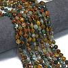 Natural Ocean Jasper Beads Strands G-K389-B08-01-2
