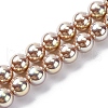 UV Plating Pearlized Glass Pearl Beads Strands GLAA-F128-01B-T15-1