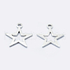 925 Sterling Silver Charms STER-I014-17S-1