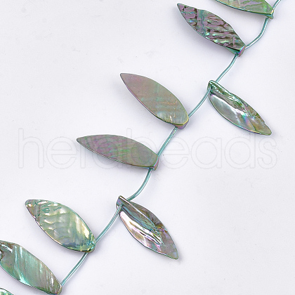 Freshwater Shell Beads Strands SHEL-T012-51B-1