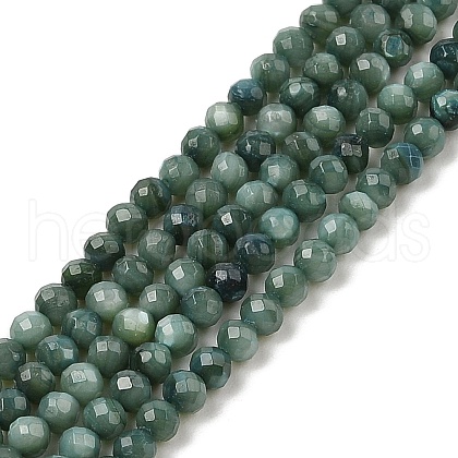Natural Freshwater Shell Dyed Beads Strands SHEL-R100-12A-05-1