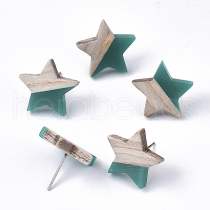 Resin & Wood Stud Earrings EJEW-N017-001A-C02-1