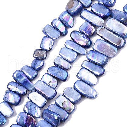 Natural Freshwater Shell Beads Strands X-SHEL-N026-123G-1