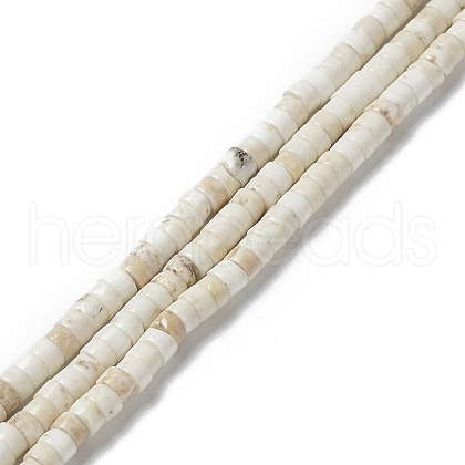 Natural Howlite Beads Strands G-E604-A01-C-1