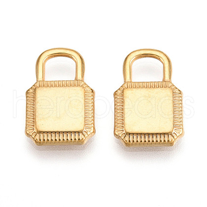 304 Stainless Steel Charms STAS-N109-115G-1
