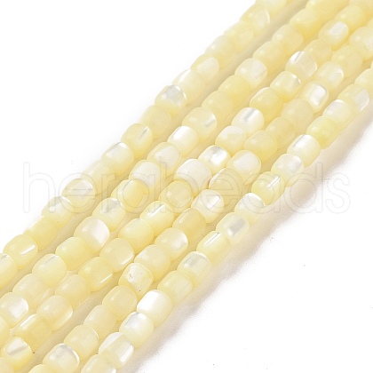 Natural Trochus Shell Beads Strands SSHEL-H070-02F-1