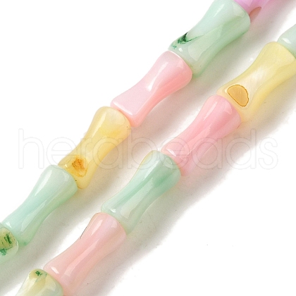 Rainbow Color Dyed Natural Freshwater Shell Beads Strands X1-SHEL-G018-02C-1
