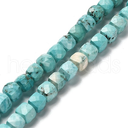 Dyed Natural Howlite Beads Strands G-H078-C28-01-1