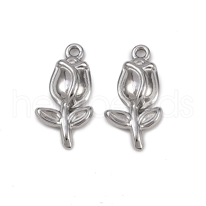 304 Stainless Steel Pendants STAS-D363-10P-1