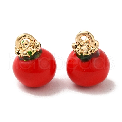 Brass Enamel Charms KK-S368-02G-02-1