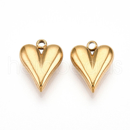 304 Stainless Steel Charms STAS-N109-69G-1