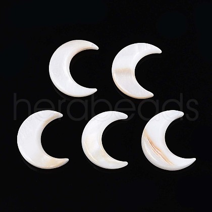 Natural Freshwater Shell Cabochons SHEL-S267-04B-1