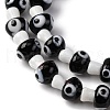 Handmade Evil Eye Lampwork Beads Strands LAMP-S069-01A-02-3