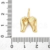 304 Stainless Steel Pendants STAS-U049-04A-03G-3