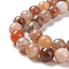 Natural Botswana Agate Beads Strands G-G925-01A-4