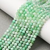 Natural Chrysoprase Beads Strands G-C196-A02-3mm-1