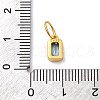 925 Sterling Silver Cubic Zirconia Charms STER-NH0014-01G-03-3
