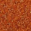 Cylinder Seed Beads X-SEED-H001-G10-4
