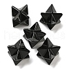 Natural Obsidian Beads G-A206-01B-65-1