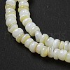 Dyed Natural Freshwater Shell Beads Strands X1-BSHE-G039-07N-3