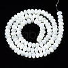 Natural Trochid Shell/Trochus Shell Beads Strands SSHEL-S266-017A-2