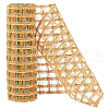 5 Yards Plastic Mesh Ribbon OCOR-WH0088-72-1