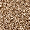 MIYUKI Delica Beads SEED-X0054-DB2177-3