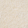 11/0 Grade A Round Glass Seed Beads SEED-N001-E-436-2