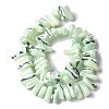 Dyed Natural Trochus Shell Beads Strands SSHEL-C013-09I-2