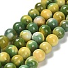 Dyed Natural Agate Beads Strands G-G203-09G-10mm-2
