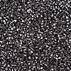 Glass Bugle Beads SEED-S032-12A-576-3