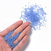 Glass Seed Beads SEED-US0003-2mm-106-4