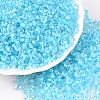 6/0 Inside Colours Transparent Glass Seed Beads X1-SEED-T007-07E-3