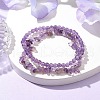 Chip & Round Natural Amethyst Beaded Stretch Bracelets for Women BJEW-JB10189-03-2