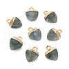 Natural Labradorite Charms G-N326-121-05-1