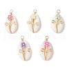 Natural Cowrie Shell Copper Wire Wrapped Pendants PALLOY-JF03834-1