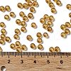 Glass Seed Beads SEED-H002-C-A037-4