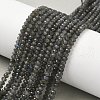 Natural Labradorite Beads Strands G-L622-B02-4x2mm-1