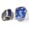 Plated Natural Lapis Lazuli Beads G-T133-16-3