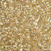 8/0 Glass Bugle Beads SEED-S032-07A-22-3
