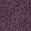 MIYUKI Round Rocailles Beads SEED-G007-RR2448-2